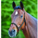 Waldhausen Pastevní ohlávka černá – Hledejceny.cz