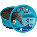 Horslyx Mint 15 kg – Hledejceny.cz