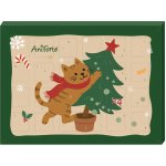 AniForte AniForte® adventní kalendář pro kočky (240 g) – Zboží Dáma