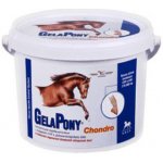 Orling Gelapony Chondro HYAL 0,9 kg – Hledejceny.cz