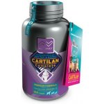 Altervet Cartilan Complete 100 tbl – Zbozi.Blesk.cz