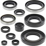 WINDEROSA (VERTEX) sada těsnění motoru KAWASAKI KX 250 93-03 | Zboží Auto