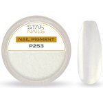 Starnails Nail Art zdobení pigment P253 – Hledejceny.cz