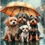 NORIMPEX Diamantové malování Psí rodina pod deštníkem 30 x 40 cm – Zboží Mobilmania