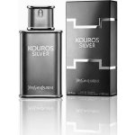 Yves Saint Laurent Kouros Silver toaletní voda pánská 100 ml – Sleviste.cz