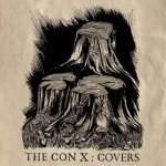 Tegan & Sara - THE CON X - COVERS LP – Hledejceny.cz