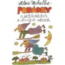 Kniha Pohádky o ježibabách a divných věcech - Alois Mikulka