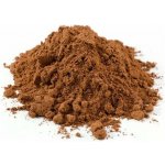 Hanoju Bio Reishi prášek 100 g – Hledejceny.cz