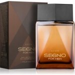 Avon Segno parfémovaná voda pánská 75 ml – Hledejceny.cz