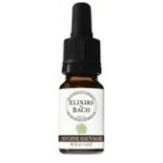 Les fleurs de Bach Sveřep větevnatý Wild Oat 36 Bachovy květové bio esence 10 ml – Hledejceny.cz