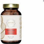 PuraviaLabs Přírodní železo + Vitamín C BIO Acerola 60 kapslí – Hledejceny.cz