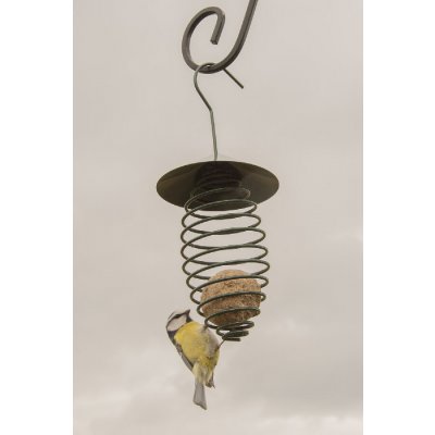 Esschert Design Krmítko "Best for Birds" se střechou 11 x 11 x 25 cm tmavě zelené – Hledejceny.cz