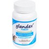 Vitamíny pro psa Glandex Powder pro psy a kočky 71 g