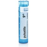 PULSATILLA POR 9CH GRA 4G – Hledejceny.cz