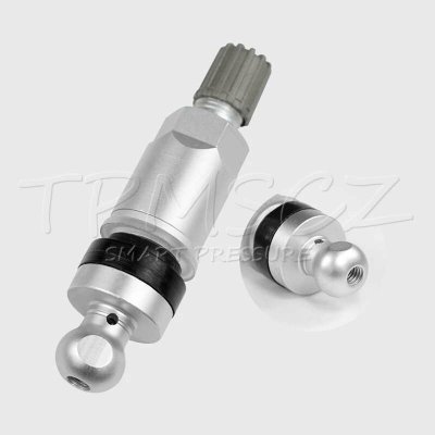 TPMS-10 náhradní ventil pro TPMS senzory - kovový šedý – Hledejceny.cz