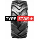 Alliance 365 Agristar 600/65-38 162A8/159D TL – Hledejceny.cz