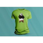 Sandratex dětské bavlněné tričko Kung Fu Panda. lime – Hledejceny.cz