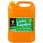Coyote Letní kapalina do ostřikovačů - citron 5 l – Hledejceny.cz