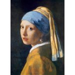 EuroGraphics Vermeer Johannes: The Girl with a Pearl Earring 16 1000 dílků – Sleviste.cz