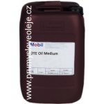 Mobil DTE Oil Medium 20 l | Zboží Auto