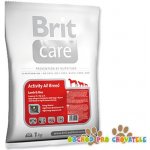 Brit Care Adult Activity All Breed Lamb & Rice 1 kg – Sleviste.cz