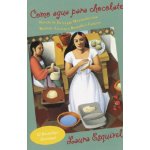 Como agua para chocolate / Like Water for Chocolate – Hledejceny.cz