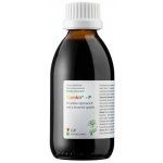 Dědek kořenář Gambit-P 200 ml – Hledejceny.cz