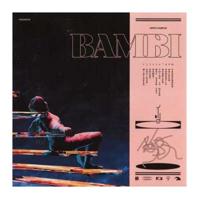 Hippo Campus - Bambi LTD LP – Zbozi.Blesk.cz