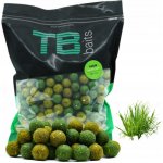 TB Baits Boilie Amur 2,5 kg 20 mm – Zboží Dáma