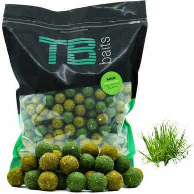 TB Baits Boilie Amur 2,5 kg 20 mm – Zboží Dáma