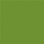 BioDunisoft Ubrousek listově zelený 100031247 40x40cm 60ks – Hledejceny.cz