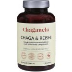 Chaganela Extrakt čagy s reishi 150 kapslí – Hledejceny.cz