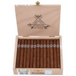 MONTECRISTO JOYITAS 25 ks – Zbozi.Blesk.cz