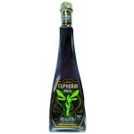 Hill's Euphoria Absinth Black 70% 0,05 l (holá láhev) – Hledejceny.cz