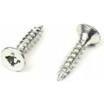 Šrouby do dřeva WT WINTECH a.s. 4 x 20 mm 1 ks – Hledejceny.cz