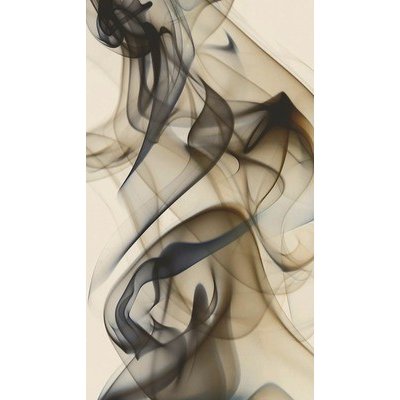 Fotozáclona AGdesign neprůhledná, abstraktní vzor 140 x 245 cm – Hledejceny.cz