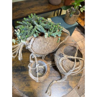 Kokodama, kokosový závěsný obal – Zboží Dáma