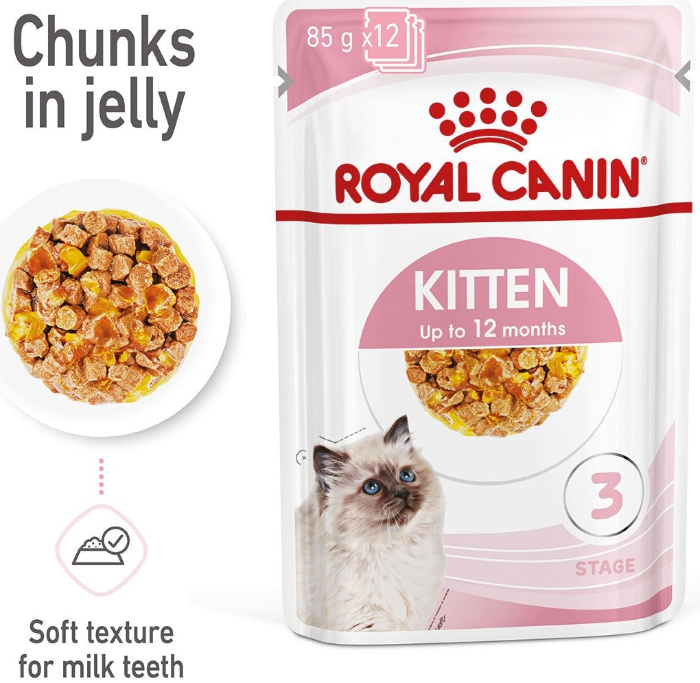 Royal Canin KITTEN v želé pro koťata 12 x 85 g