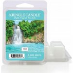 Kringle candle Fiji Vonný Vosk, 64g – Zboží Dáma