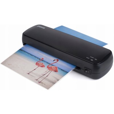 Pavo 8038718 – Sleviste.cz