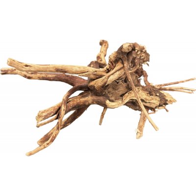BioArt Spider Wood 10-15 cm – Hledejceny.cz