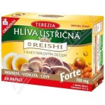 Terezia Company Hlíva ústřičná s Reishi Forte 60 kapslí – Hledejceny.cz