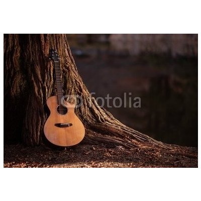 WEBLUX 75669233 Samolepka fólie Wooden Acoustic Guitar Dřevěná akustická kytara rozměry 145 x 100 cm – Zbozi.Blesk.cz
