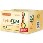 FytoFEM Iconti Forte 90 tablet – Hledejceny.cz