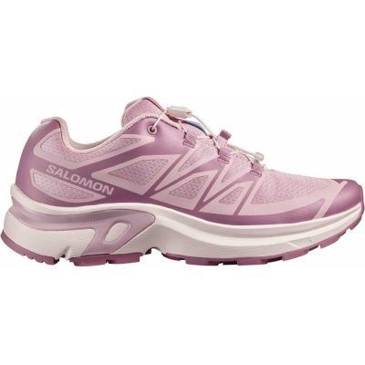 Salomon XT-Evr W L49143600 lilac ash – Hledejceny.cz
