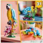 LEGO® Creator 31136 Exotický papoušek – Zboží Dáma