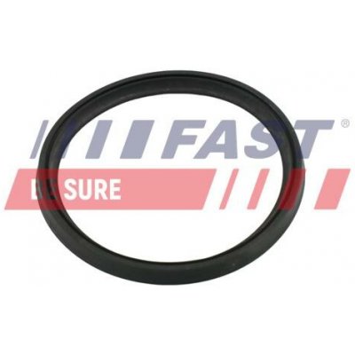 Těsnicí kroužek, hadice plnicího vzduchu FAST FT49854 – Zboží Mobilmania