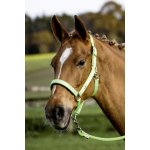 BUSSE Stájovka Solid Soft světle zelená – Zboží Dáma