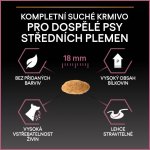 Purina Pro Plan Medium Adult Sensitive Skin losos 14 kg – HobbyKompas.cz