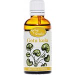 Serafin Gotukola tinktura z pupenů 50 ml – Hledejceny.cz